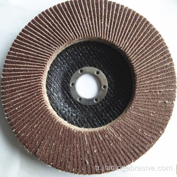 parlatma için flap disk